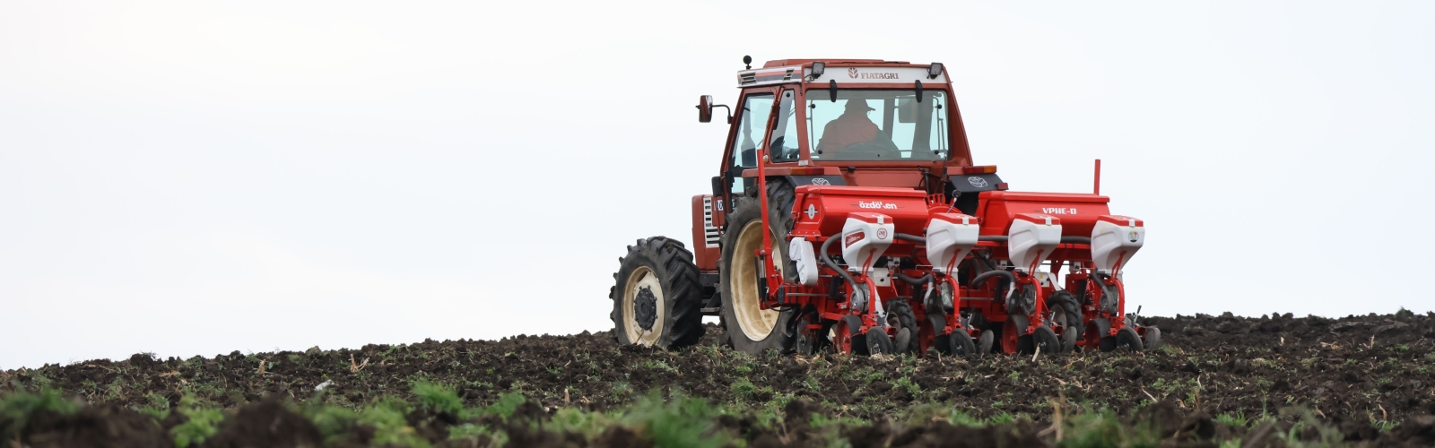 Giovani agricoltori: come funzionano insediamento e investimenti nel "pacchetto" SRE01-SRD01