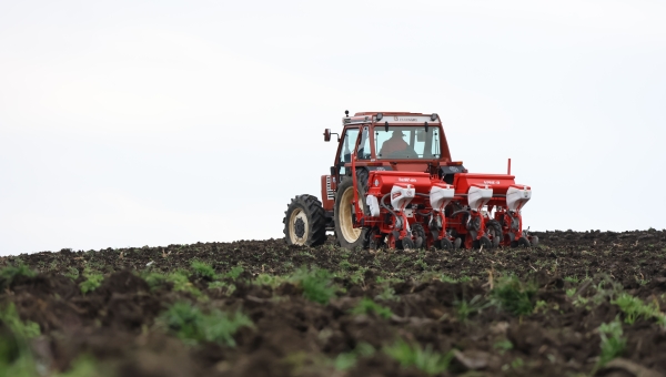 Giovani agricoltori: come funzionano insediamento e investimenti nel 